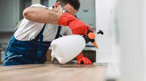 Best Real Estate Pest Inspections  in Avilla, AR